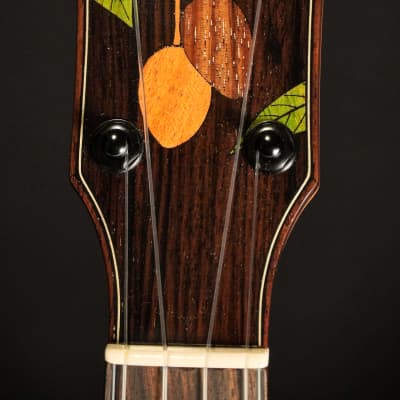 Oli L2 CMG Mango Concert 2025 - Natural Highgloss image 2