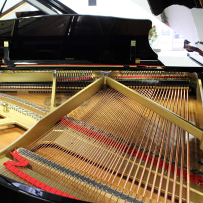 Kawai RX1 Grand Piano image 4