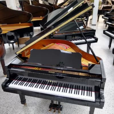 Yamaha Grand Piano G1 5’3 Black Polish image 2