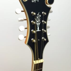 Epiphone MM-50E エレキ マンドリン エピフォン ハードケース