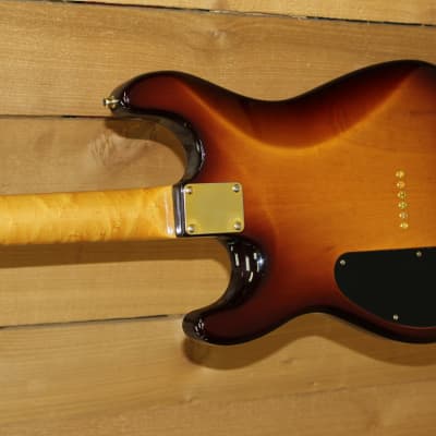 Warmoth Chambered S-Style, USED image 4