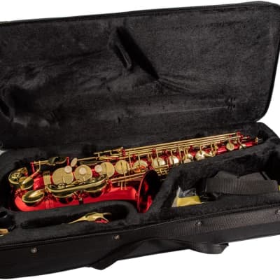 Elkhart Vincent Bach Deluxe E Flat Alto Saxophone | 100ASR High F# key . image 1