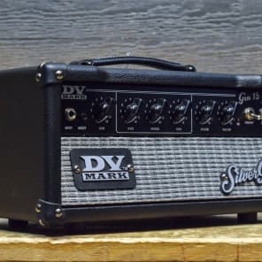 人気満点 DV Mark DV Gen Guitar Tube 15-Watt Generation Silver 15 ギター