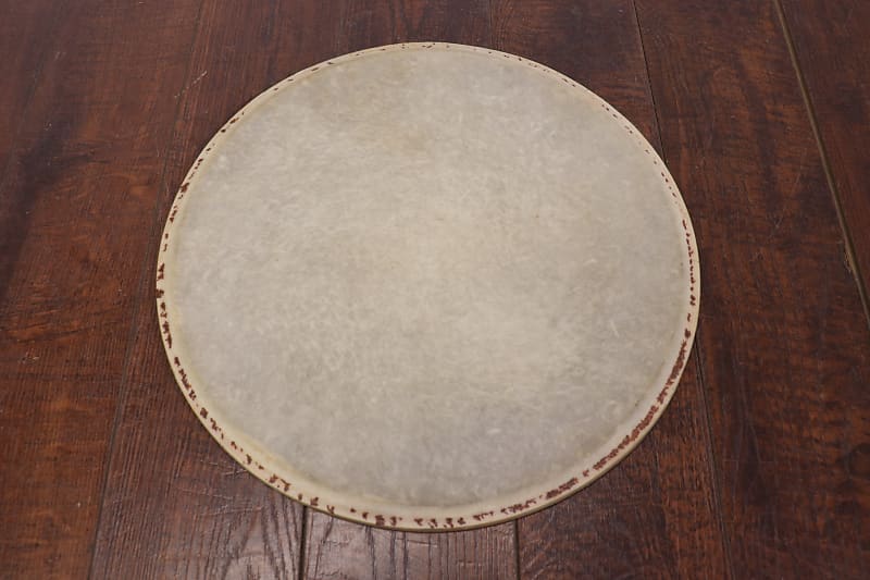 13" Calfskin Drum Head Reverb