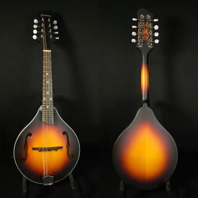 Eastman MD305E-SB A Style Mandolin with Pickup and Bag image 3