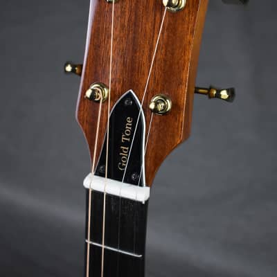Gold Tone Mastertone TG-18: Tenor Guitar image 5