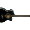 Washburn Festival Series EA10 Petite Jumbo Acoustic-Electric Guitar (LDWS)