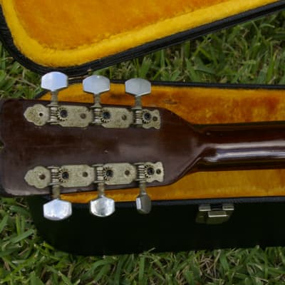 Trump Dreadnought with Vintage Case image 10
