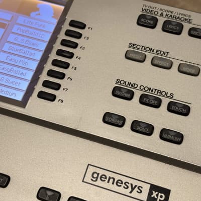 GEM Genesys XP 1990s - silver image 11