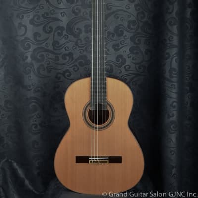 New Otto Vowinkel 3A classical guitar , Cedar/Indian rosewood B & Sides for sale