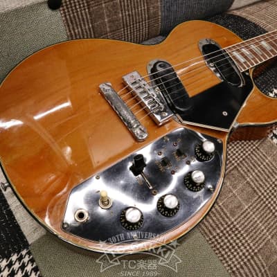 Gibson 1972 Les Paul Recording image 9