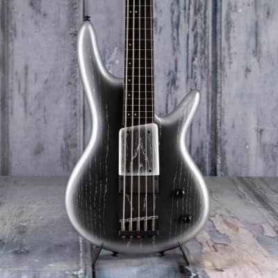 Ibanez Premium Gary Willis Signature Fretless 5-String Bass, Silver Wave Burst Flat for sale