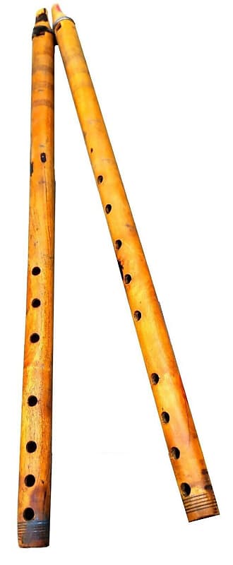 Algoja musical online instrument