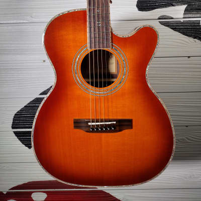Zager ZAD-900 OM CE/AURA/VCS image 2