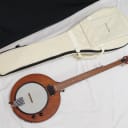GOLD TONE EB-5 electric 5-string banjo NEW w/ gig bag