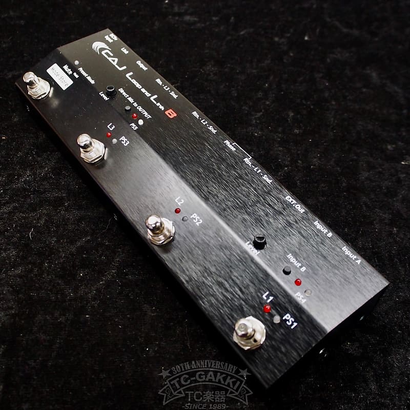 CUSTOM AUDIO JAPAN (CAJ) Loop and Link B | Reverb