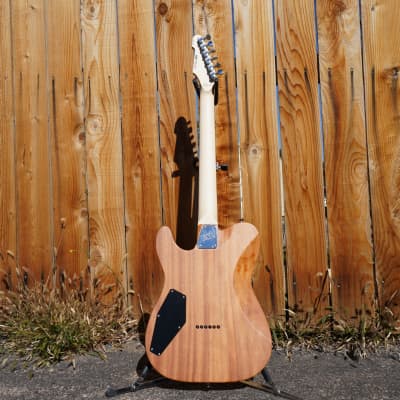 ESP USA TE-II Hardtail Snakeskin 6-String Electric Guitar w/ Form Fit Case (#4 of 10 Made Worldwide) image 11
