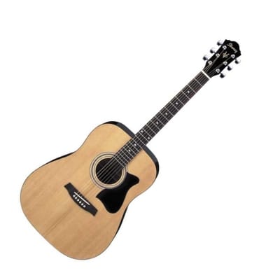 Ibanez IJV50 Jumpstart Acoustic Guitar Package image 5