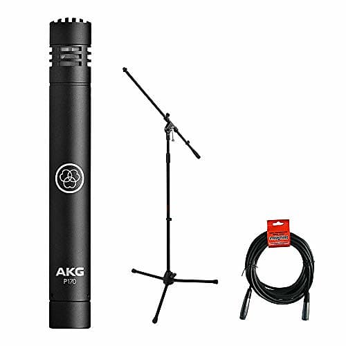 AKG P170 SmallDiaphragm Condenser Microphone (Black) plus Reverb