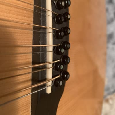 Froggy Bottom G 12-String 2010 - Walnut B&S Adirondack Top image 12