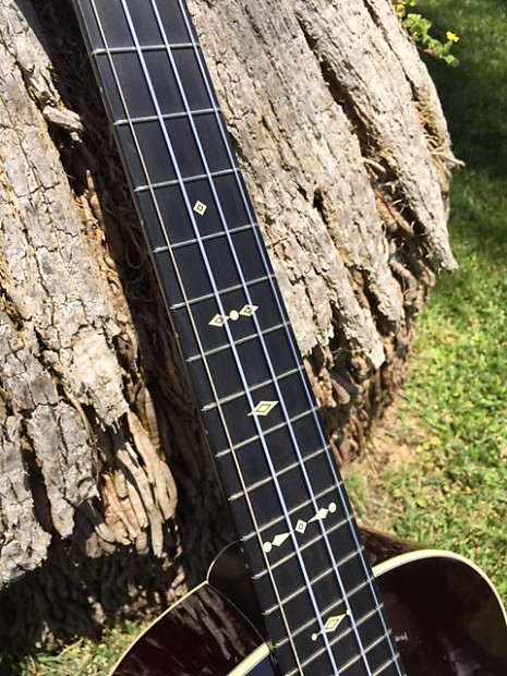Taylor hot sale guitars ukulele