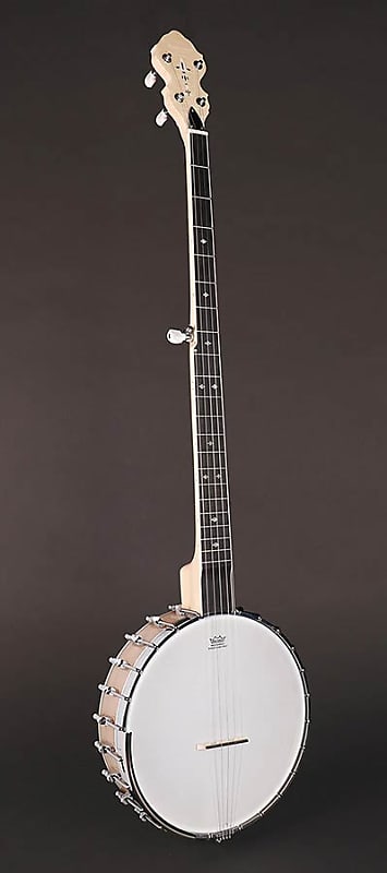 Richwood Master Series RMB-1405-LN long neck open back 5-string banjo image 1