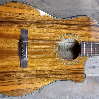 Fender Acoustic Victor Bailey Signature for sale