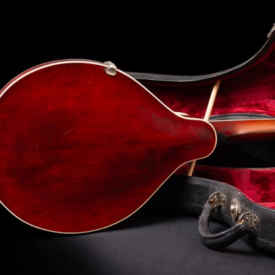 Gibson Mandoline A3 1919 - Ivory image 5