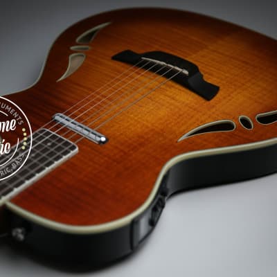 値下げ交渉可　CRAFTER SA-TMVS Crafter SA-TMVS Acoustic/Electric Hybrid Guitar T-5 Like W