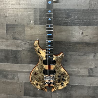 Alembic Darling Buckeye Burl with Denim Lapis ovals 2023 we are Alembic Dealers Brand New ! image 2