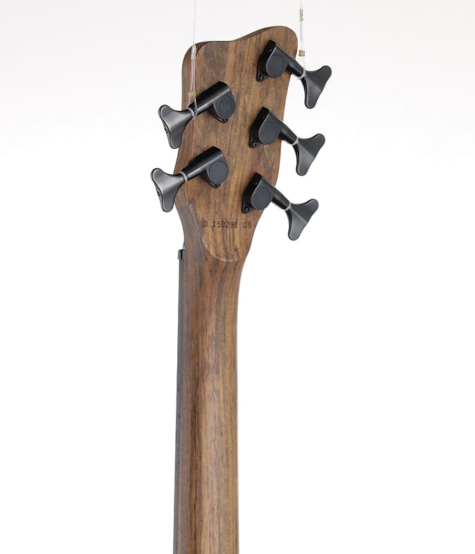 WARWICK thumb bass bolt on 5st (10/17) | Reverb