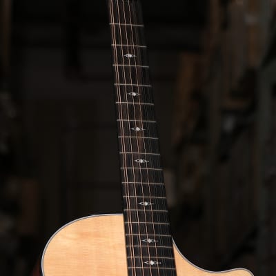 Taylor 352ce Grand Concert Sapele/Sitka Spruce 12-String Acoustic Electric Guitar image 11