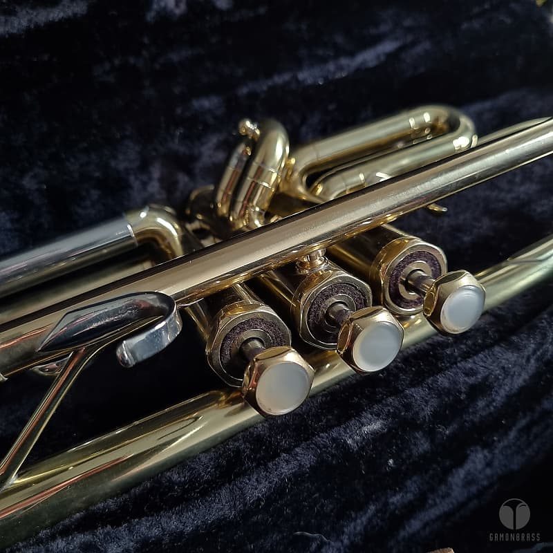 Schilke Chicago MII trumpet case mouthpiece 15B mute Reverb