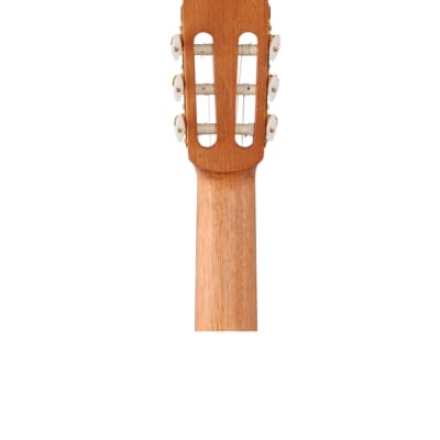 Cordoba Protege C1M Nylon String Guitar image 7