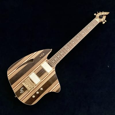JD Guitars 2023 Neptune-6 image 1