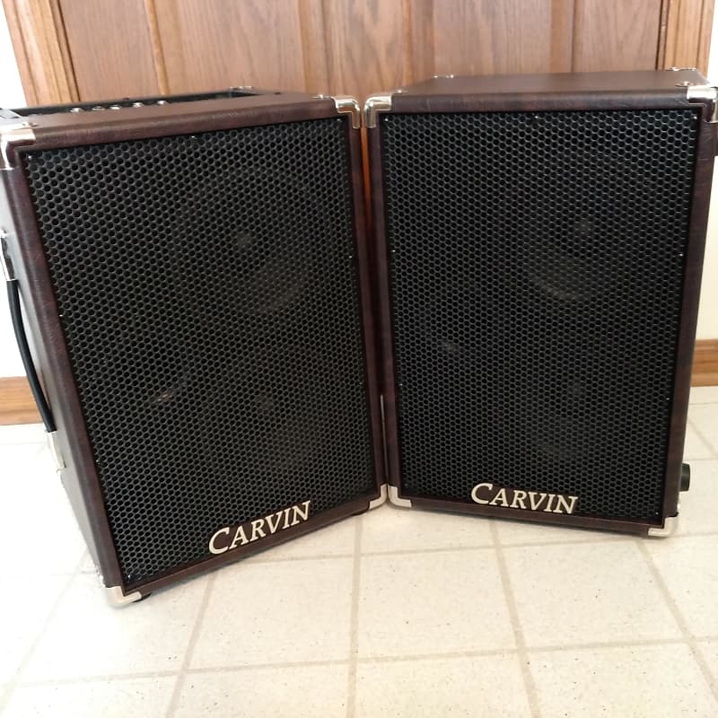 Carvin AG200 Acoustic Guitar Amplifier and 200AGE Extension Cabinet with Covers