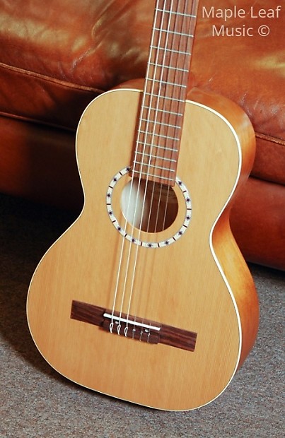 Art Lutherie Ami Nylon 2016