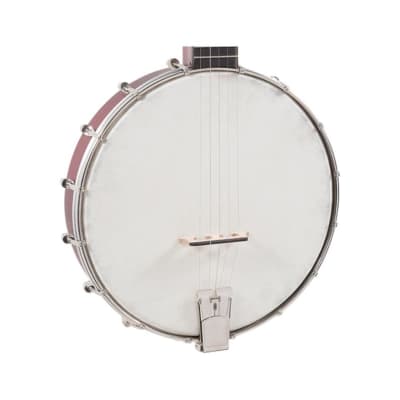 Recording King Dirty 30's Open Back Banjo image 3