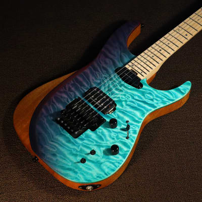 Fernandes 2019 MIJ / FR Sustainer II Limited / Blue Purple