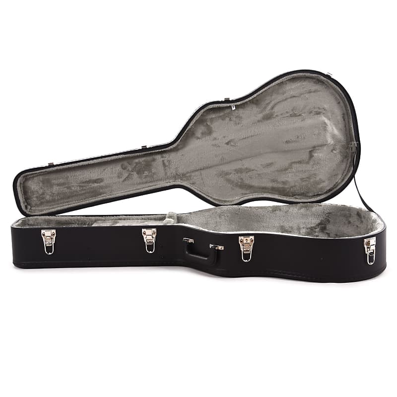 Takamine on sale dreadnought case