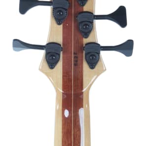 1995 Tobias Basic 5 String Bass #3279 | Reverb