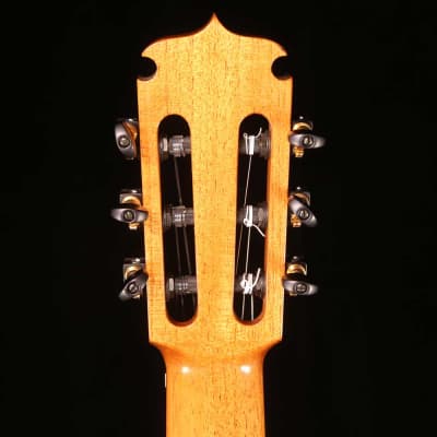Marchione Classical Cutaway Nylon String Guitar image 12