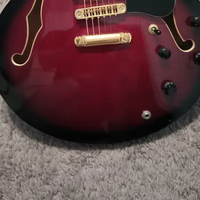 Palmer Semi-hollow  1970 Red image 2