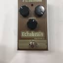TC Electronic Echobrain Analog Delay Echo Brain Guitar Effect Pedal