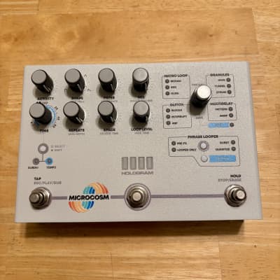 Hologram Electronics Microcosm | Reverb