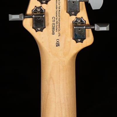 PRS SE Silver Sky Ever Green (549) image 5