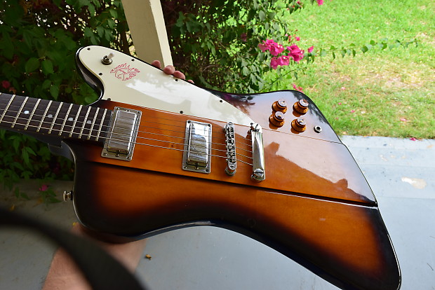 Epiphone on sale firebird korea