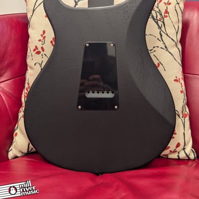 Paul Reed Smith PRS S2 Standard 24 2024 Satin Electric Guitar Charcoal Satin w/Bag image 5