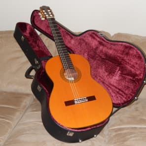 Asturias standard classical guitar sale