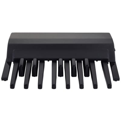 Ketron K8 Dynamic MIDI Pedal image 6